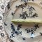 Majolica Asparagus Plate by Emile Gallé, Image 3