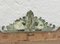 Napoleon III Second Empire French Giltwood Mirror, Image 16