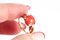 Modernist Coral Ring 4