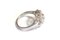 Diamant Blumenring 5