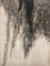 James Guitet, The Skin of Things, 1968, Etching, Image 1