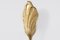 Vintage Italian Leaf Brass Sconce by Tommaso Barbi 4