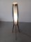 Dänische Tripod Stehlampe von Svend Aage Holm Sorensenen, 1950er 5