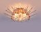 Sunburst Flush Mount in Crystal and Gilt Brass attributed to Oscar Torlasco for Stilkronen, 1970s 2