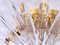 Sunburst Flush Mount in Crystal and Gilt Brass attributed to Oscar Torlasco for Stilkronen, 1970s 3