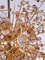 Sputnik Chandelier in Swarovski Crystal and Gilt Brass from Palwa, Germany, 1960s 6