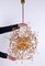 Sputnik Chandelier in Swarovski Crystal and Gilt Brass from Palwa, Germany, 1960s 16