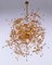 Sputnik Chandelier in Swarovski Crystal and Gilt Brass from Palwa, Germany, 1960s 8