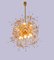 Sputnik Chandelier in Swarovski Crystal and Gilt Brass from Palwa, Germany, 1960s 5