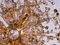 Sputnik Chandelier in Swarovski Crystal and Gilt Brass from Palwa, Germany, 1960s 12