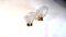 Mid-Century Moderne Wandlampe aus Muranoglas, 1980er 2