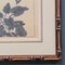 After Sakai Hoitsu, Suzuki Sonoichi and Nakano Sonoaki, Japanese Floral Shiki No Hana Artworks, 1950s, Reprints, Set of 2 9