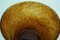 Spotted Brown Murano Glass Vase attributed to Archimede Seguso, Venice, Italy, 1950s, Image 10