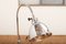 Model 8224/ 44 Gooseneck Floor Lamp in Chrome-Plated Metal by Christian Dell, 1930s-1940s, Image 2