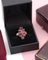 Perpignan Granat Marquise Ring 10