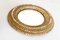 20th Century French Golden Talosel and Glass Convex Mirror 6