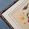After Sakai Hoitsu, Suzuki Sonoichi and Nakano Sonoaki, Japanese Floral Shiki No Hana Artworks, 1950s, Reprints, Set of 2 19