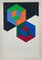 Victor Vasarely, Bi-Hexa, 1975, Silkscreen, Image 1