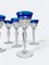 Crystal Champagne Glasses from Val Saint Lambert, Set of 6 4