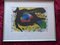 Joan Miro, Original Farb from Behind the Mirror No. 203, Lithograph, 1973, Vellum, Framed 1
