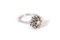 18 Karat White Gold and Diamond Flower Ring 3