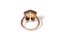 Georgian Diamond Portrait Ring 9