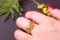 Victorian Double Snake Ring 6