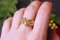 Victorian Double Snake Ring 2