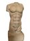 Large Torso, 1905, Ceramic 5