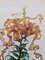 Salvador Dali, Tiger Lilies, 1972, Hand-Signed Original Etching in Colors, 1972, Image 8