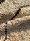 Vintage Moroccan Beni Ouarain Rug in Wool, 1990s 5