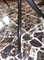 Oval Table with Marbled Glass attributed to Paolo Buffa, 1950s 11