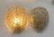 Murano Applikationen mit Gold von Seguso, 1960, 2er Set 1