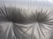 DS 101 Sofa von De Sede, 1970er 9