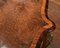 Victorian Walnut Centre Table, 1840s, Image 3