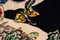 Matching Handwoven by Jean Lurcat for Aubusson Tapestries, 1950s, Set of 2, Image 3