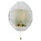 Brass and Murano Glass Petal Sconce Wall Light by J. T. Kalmar for Kalmar, 1970s, Image 1