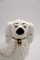 Mid Century Staffordshire Spaniel Mantelhunde von Beswick England, 1960er, 2er Set 2