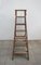 Industrial Wooden Archive Ladder, 1950s 1