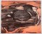 Celia Hempton, Spring, 2016, Risograph on Paper 1