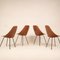 Chaises Medea par Vittorio Nobili pour Fratelli Tagliabue, 1950s, Set de 4 15
