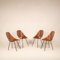 Chaises Medea par Vittorio Nobili pour Fratelli Tagliabue, 1950s, Set de 4 3
