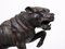Großer Bronzener Mastiff Hund von Charles Valton, Frankreich, 1890er 6