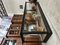 Large Presentation Display Counter, Early 20th Century 14