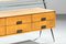 Storage Unit by Silvio Cavatorta, 1950s 5