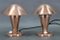 Bauhaus Mushroom Table Lamps in Copper Finish, Former Czechoslovakia, 1930s, Set of 2 3