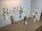 12-Arm Chandelier from Stilnovo, Milan, Italy, 1950s 4