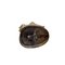 Vintage Koala Statue aus Messing, 1950er 6