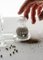 Salt and Pepper in Borosilicate Glass by StudioNotte 3