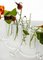 Vases in Borosilicate Glass by StudioNotte 3